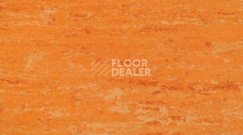 Линолеум Gerflor Linodur Sport 1072 Peach Orange фото 1 | FLOORDEALER